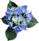 Kaz_Creations  Deco Baby Blue Flowers - PNG gratuit GIF animé