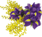 Kaz_Creations Deco Flowers Flower Colours - gratis png animeret GIF