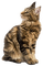 mascota - Free PNG Animated GIF