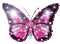 Y.A.M._Summer Flowers Decor butterflies - 無料のアニメーション GIF アニメーションGIF