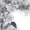 Kaz_Creations Backgrounds Background Flowers - gratis png animeret GIF