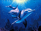 dolphins - GIF animado grátis Gif Animado