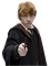 Harry Potter - 免费PNG 动画 GIF