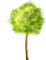 Frühlings Baum - PNG gratuit GIF animé