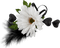 flower - gratis png animerad GIF