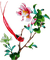 Asian.Plant.Branch.chinese.Bird.Victoriabea - PNG gratuit GIF animé
