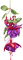 Fleur - безплатен png анимиран GIF