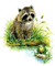 racoonfrog - Darmowy animowany GIF animowany gif