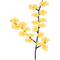yellow flower - kostenlos png Animiertes GIF
