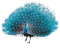 Peacock - фрее пнг анимирани ГИФ