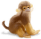 Kaz_Creations Animals Monkey - gratis png animerad GIF
