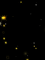 ışıltı - Darmowy animowany GIF