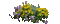 Flowers - 無料のアニメーション GIF