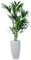 Planta - Rubicat - bezmaksas png animēts GIF