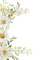 loly33 fleur - безплатен png анимиран GIF