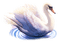 duck katrin - 免费PNG 动画 GIF