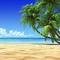 Beach, sea, palms - GIF animé gratuit
