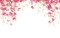 Flower Border - zadarmo png animovaný GIF