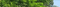 Wald - ücretsiz png animasyonlu GIF