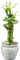 Plante - 免费PNG 动画 GIF