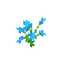 Blue Orchid - δωρεάν png κινούμενο GIF
