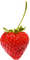 Strawberry - kostenlos png Animiertes GIF