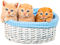 Kittens.Orange.Blue.White - By KittyKatLuv65 - png grátis Gif Animado