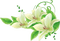 patymirabelle fleurs - δωρεάν png κινούμενο GIF
