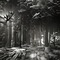 Black & White Forest - бесплатно png анимированный гифка