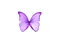 Papillon - gratis png animeret GIF