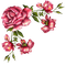 deco frame corner flowers kikkapink vintage - PNG gratuit GIF animé