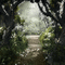 kikkapink forest gothic background - GIF animé gratuit GIF animé