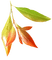 Kaz_Creations Deco Leaves Leafs  Colours - безплатен png анимиран GIF