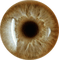 Kaz_Creations Eyes Eye - ücretsiz png animasyonlu GIF