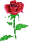 роза - Gratis animerad GIF