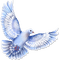 soave deco bird dove blue - Free PNG Animated GIF