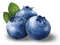 blueberries Bb2 - kostenlos png Animiertes GIF