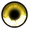 Kaz_Creations Eyes Eye Colours - PNG gratuit GIF animé