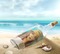 picture in a bottle - png gratis GIF animado