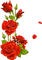 Rosen, Rot, Blumen, Roses, Flowers - png gratuito GIF animata