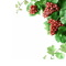 Branche - безплатен png анимиран GIF