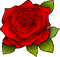 Rose - ücretsiz png animasyonlu GIF