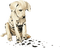dog anastasia - ücretsiz png animasyonlu GIF