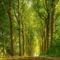 nature background - kostenlos png Animiertes GIF