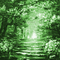 Y.A.M._Fantasy tales landscape forest green - GIF animé gratuit GIF animé