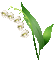 MUGUET lily of the valley  gif - Бесплатный анимированный гифка анимированный гифка