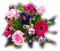 patymirabelle fleurs - besplatni png animirani GIF
