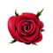 kikkapink deco scrap red rose flower - gratis png geanimeerde GIF