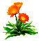 Blume, fleur, flower - Free animated GIF Animated GIF