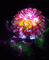 encre fleur - Nemokamas animacinis gif animuotas GIF